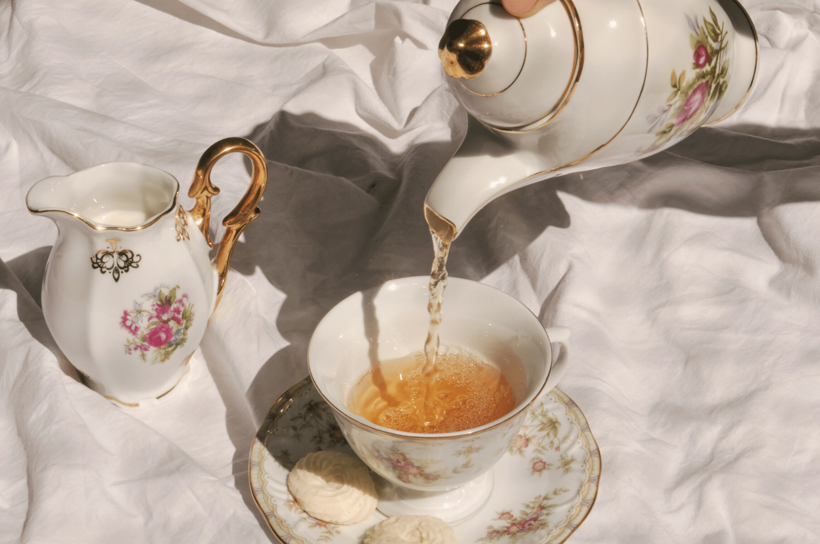 Pouring tea at picnic