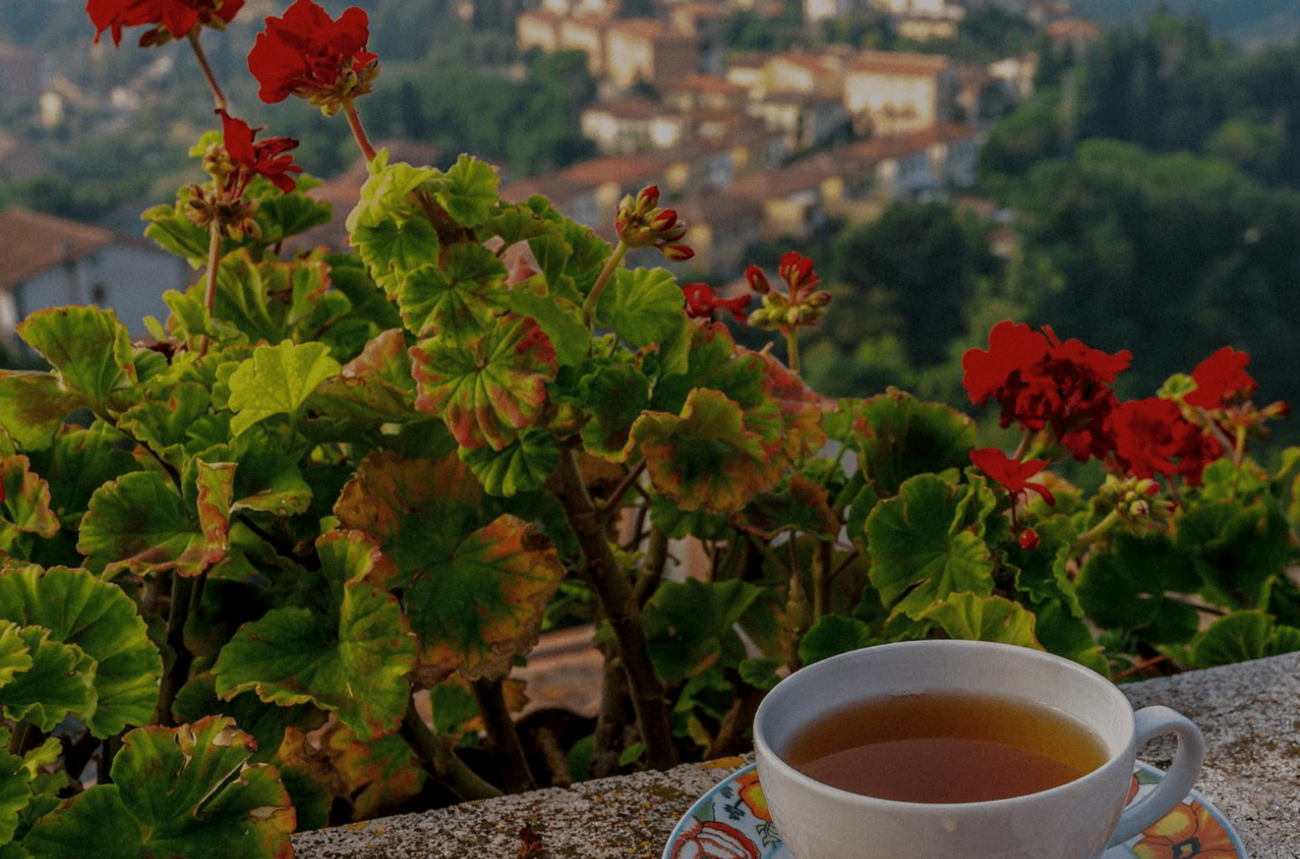 tea drinking destination