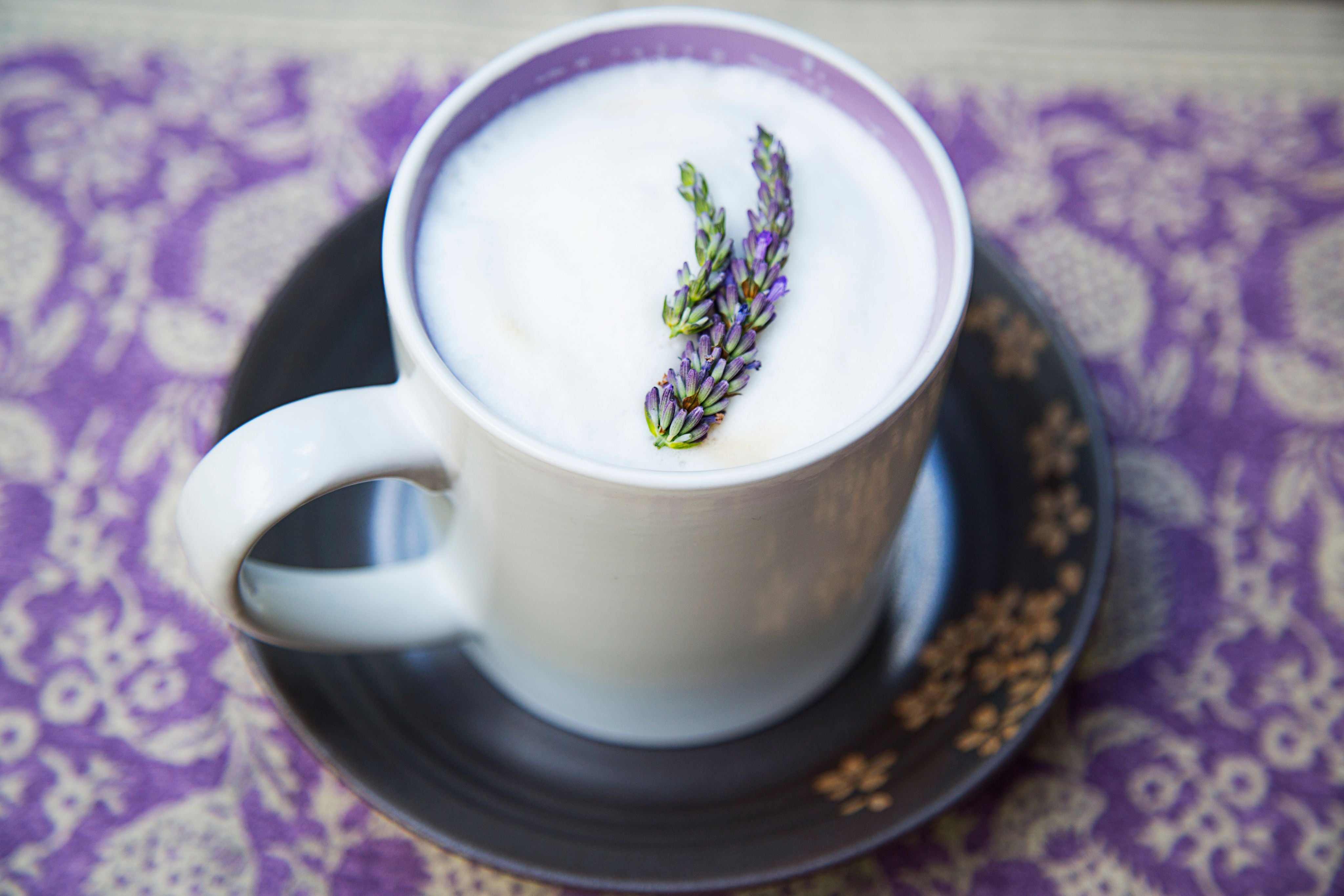 lavender chai latte recipe