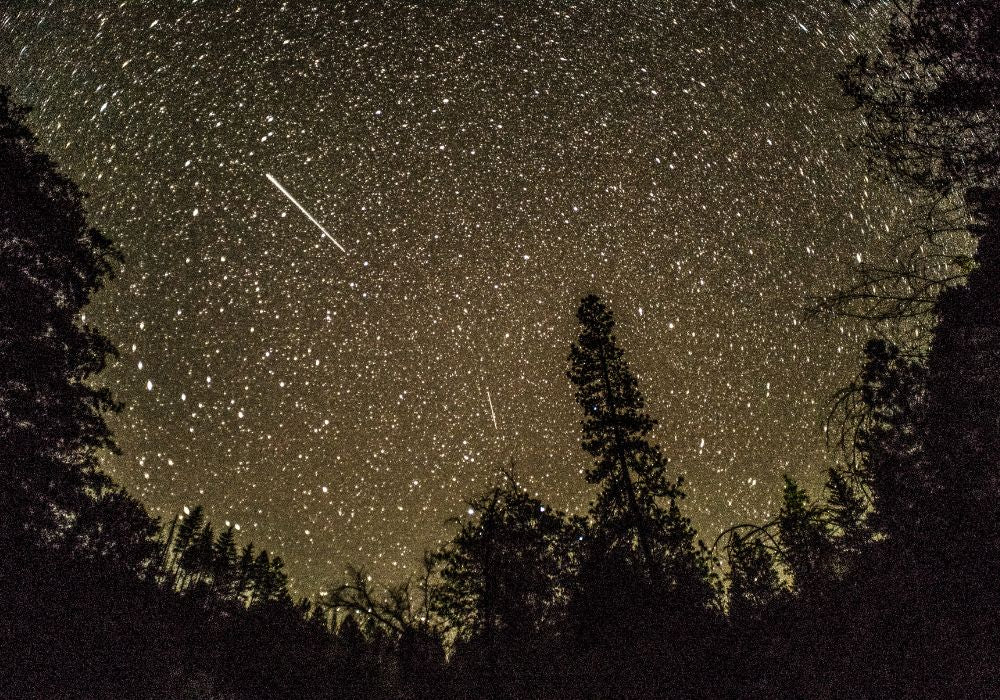 meteor shower stars